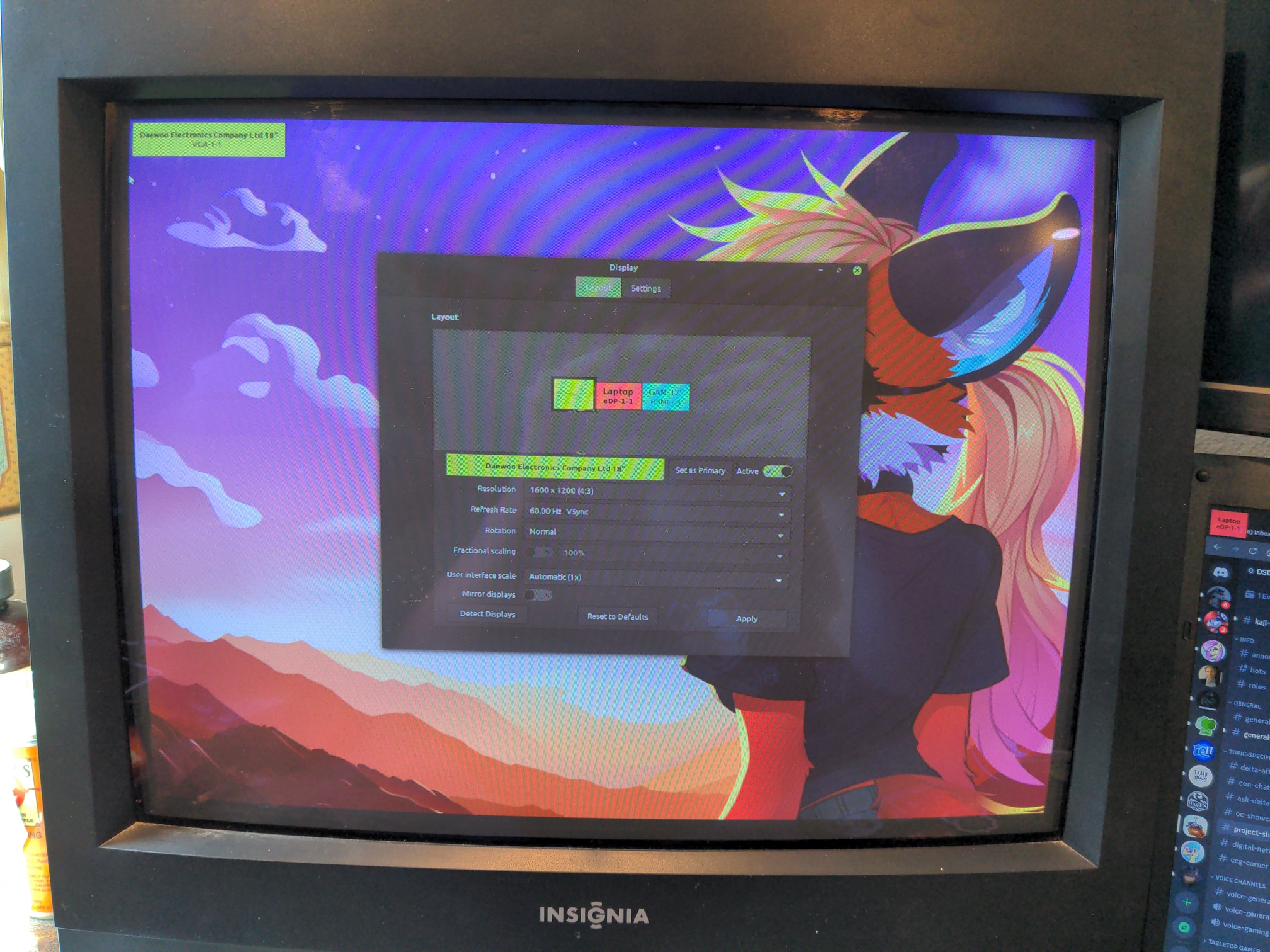 CRT monitor showing the display settings menu for Linux Mint running the Cinnamon Desktop environment. The monitor's current settings are for 1600x1200 at 60Hz, which is impressive for a CRT display.